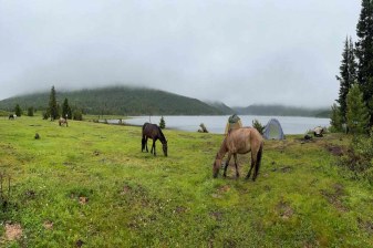 7-Day Horse Riding Adventure in Terelj and Mongolia's Wilderness