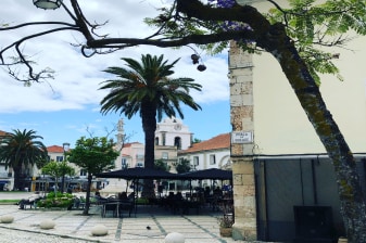 3-Hour Setúbal City Tour with Maritime Heritage and Market