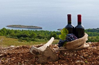 6-Hour Wine Tour of Ston from Dubrovnik with 3 Cellar Tastings