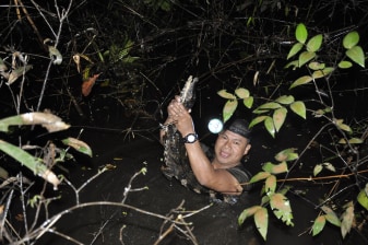 4-Day Amazon Jungle Tour from Iquitos with Pink Dolphins and Wildlife