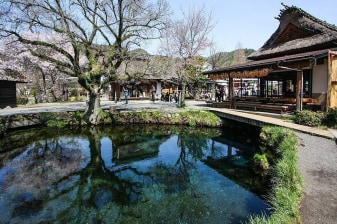 1-Day Mount Fuji Tour from Tokyo with Oshino Hakkai and Kawaguchiko