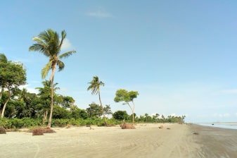 2-Day Ujung Kulon Tour from Carita Beach with Peucang Island Stay