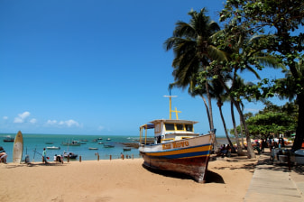Full-Day Praia do Forte Tour with Guarajuba Beach and Tamar Project