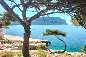 7-Hour Provence Private Tour with Cassis Calanques and Wine Tasting