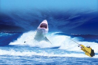 One-Day Shark Cage Diving Trip in Gansbaai with Great White Sharks