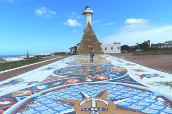 3-Hour Port Elizabeth Tour with Fort Fredrick and Donkin Reserve