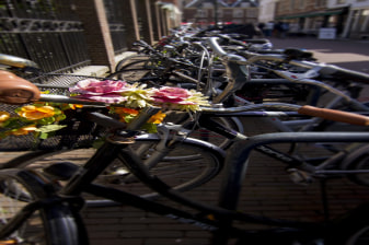 4-Hour Delft Bicycle Tour through Midden-Delfland Villages