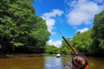 2-Hour Canoeing Tour in Limpaki Wetland National Park