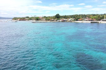 1-Day Snorkelling and Diving Tour in Tan-Awan with Whale Sharks