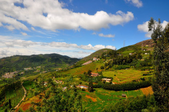 4-Day Ooty Highlights Tour from Coimbatore with Trek and Barbeque