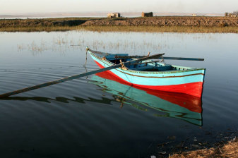 12-Hour Fayoum Oasis Tour from Cairo with Wadi El-Hitan and Sandboarding
