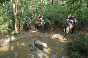 10-Day Nepal Highlights Tour with Kathmandu, Pokhara, Lumbini and Chitwan