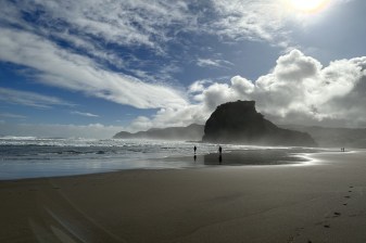 5-Hour Piha and Karekare Tour with Auckland's Wild West Coast