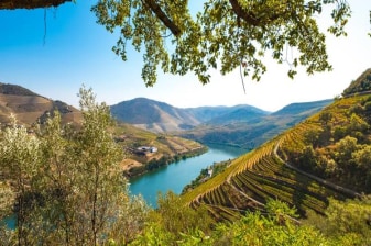 9-Day Self-Guided Douro Wine Region Hiking Tour with Rabelo Cruise