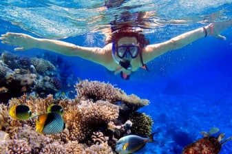 7-Hour Ras Mohamed National Park Snorkeling Cruise from Sharm El Sheikh