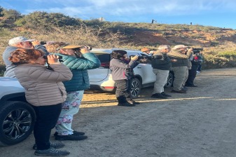 6-Hour Klein Karoo Birding Tour from Oudtshoorn with Picnic Breakfast