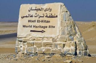 Full-Day Wadi El Hitan and Faiyum Oasis Tour with Magic Lake