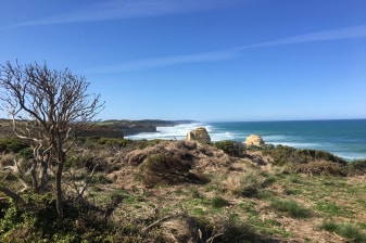 2-Day Great Ocean Road and Otway National Park Tour from Melbourne