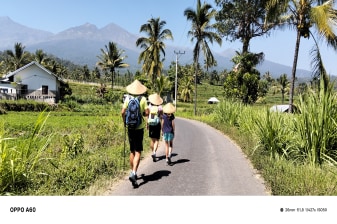 1-Day Senaru Village and Sendang Gile Waterfall Tour in Lombok