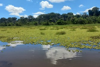 4-Day Jungle Expedition from Iquitos to Nauta and Yarapa River