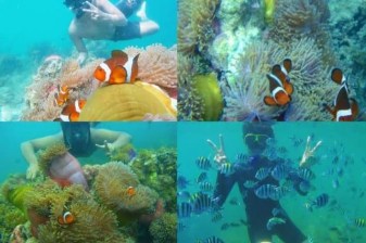 6-Hour Bintan Island Snorkeling Trip with Traditional Kelong Ride