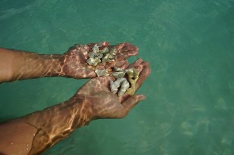 3-Day Perhentian Island Resort Stay from Kuala Besut with Snorkelling