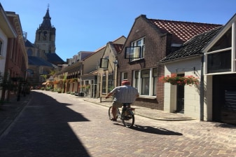 3-Hour Delft Sightseeing Tour with Bell Tower and Fish Market