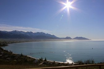 10-Hour Kaikōura Catamaran Tour with Whale and Dolphin Watching