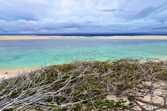 5-Hour Lençóis Maranhenses 4x4 Tour with Lagoons and Local Legends