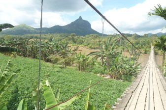 4-Day South Sumatra Tour with Dempo Mount and Sembilang National Park
