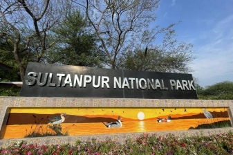 1-Day Birdwatching and Heritage Tour to Sultanpur and Farrukhnagar
