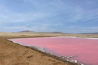 5 Horas de Trekking Premium en Paracas con Laguna Rosada