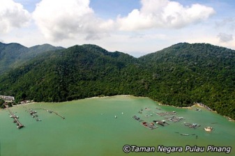 6-Hour Penang National Park Trek with Pantai Kerachut and Monkey Beach