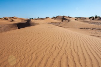 8-Day Morocco Adventure Tour with Sahara Camp and Atlantic Coast