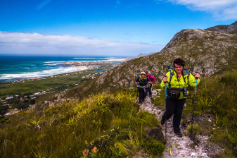 4-Hour Hike in Harold Porter Botanical Gardens to Platberg