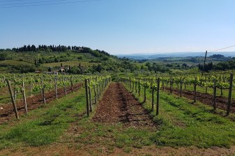 10-Hour Tuscany Wine and Cheese Tour with Pienza and Chianti