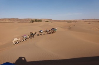 8 jours de trek dans la vallée du Drâa avec nuits en bivouac