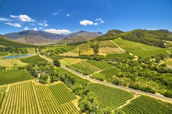 5-Day Cape Town and Stellenbosch Tour with Penguins and Winelands