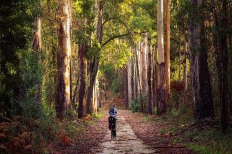 8-Day Self-Guided Bike Tour from Porto to Lisbon via Aveiro and Óbidos
