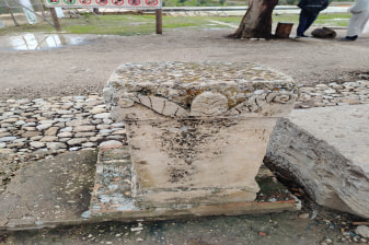 3-Hour Volubilis Roman History Tour with Basilica and Arch