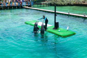 8-Hour Rosario Islands and Playa Blanca Tour with Aquarium Visit