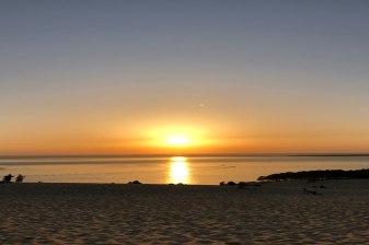 8-Hour Arcachon Bay Tour from Bordeaux with Dune du Pyla