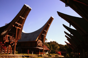 4 jours aux pays Toraja avec rites funéraires et villages traditionnels