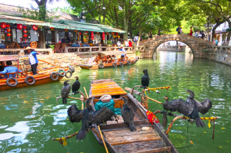 2-Day Wuxi and Suzhou Tour from Shanghai with Tongli Watertown