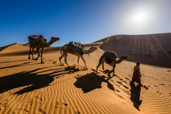5-Day Sahara Desert Tour from Marrakech with Erg Chebbi Camp