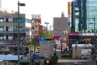 5-Hour Wakayama Cycling Tour with Customizable Themed Courses