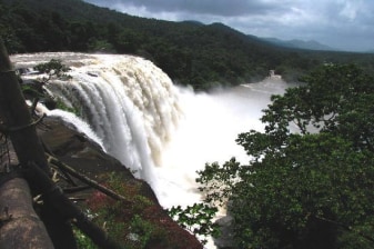 2-Day Athirappilly, Valparai and Pollachi Tour from Kochi