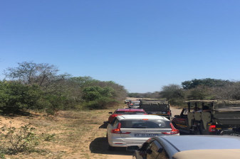 1-Day Kruger National Park Safari from Maputo with Big Five spotting