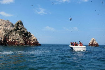2-Hour Ballestas Islands Cruise from Paracas with Wildlife Viewing