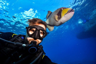 7-Hour Ras Mohamed and White Island Boat Tour from Sharm El Sheikh